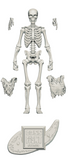 Vitruvian H.A.C.K.S. Action Figure: Boxed Skeleton Blank